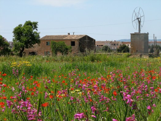 Mallorca Windmill