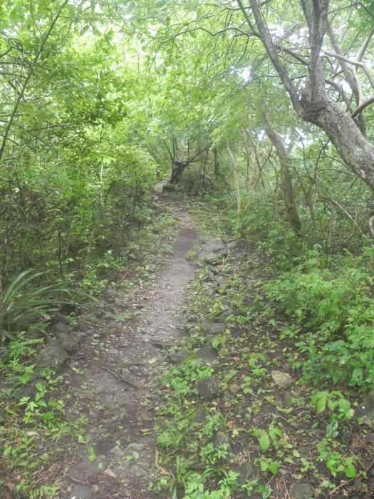 Sendero to La Roca Overlook