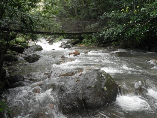 Suspension bridge over the Colorado River