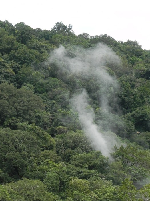 Geothermal Steam Rising Up the Hillside