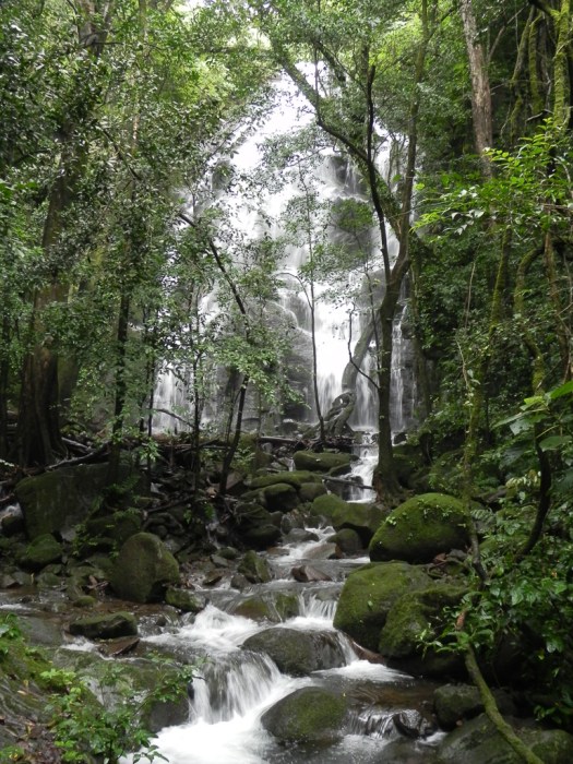 Catarata on the Quebrada Pailas River