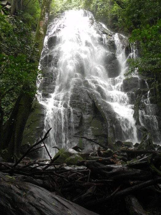 Catarata on the Auebrada Pailas River