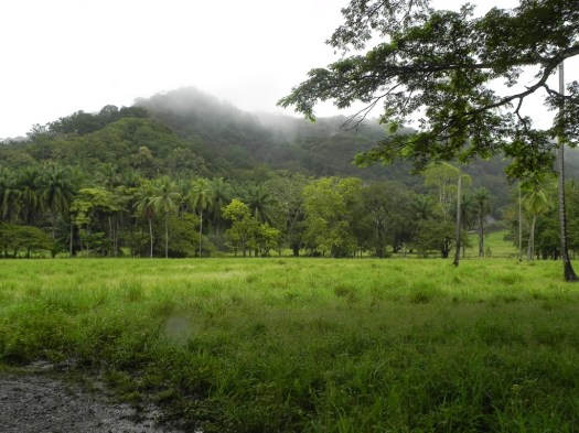 Refugio Nacional Vida Silvestre Cur˙