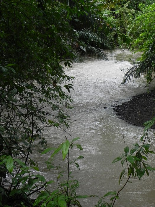 Refugio Nacional Vida Silvestre Cur˙