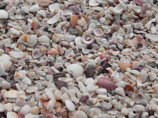 Playa Conchal "sand"