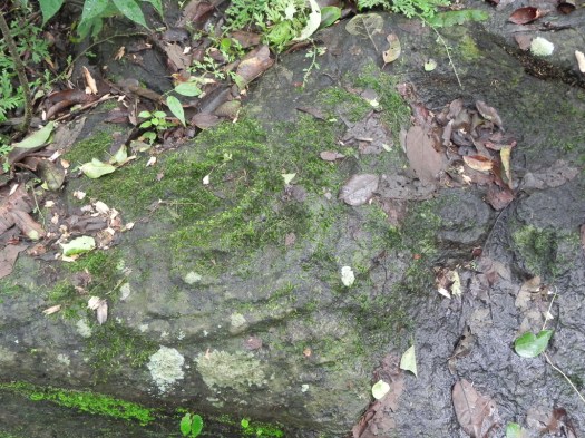 Petroglyph