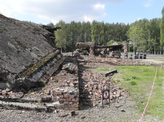 Incinerators and Chimney